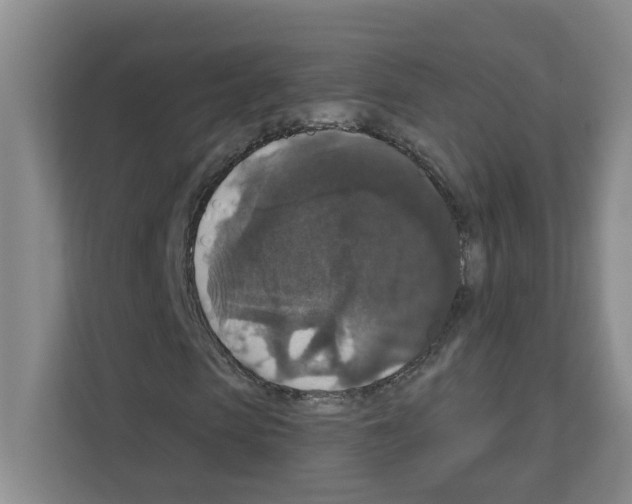 X0000111160913200908111151