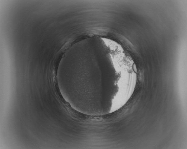 X0000111160915200908111151