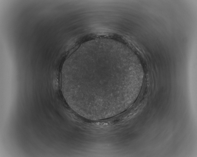 X0000111160916200908111151