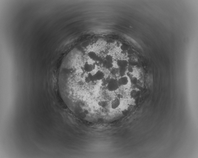 X0000111160917200908111151