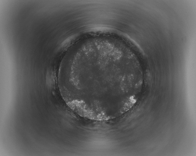 X0000111160918200908111151