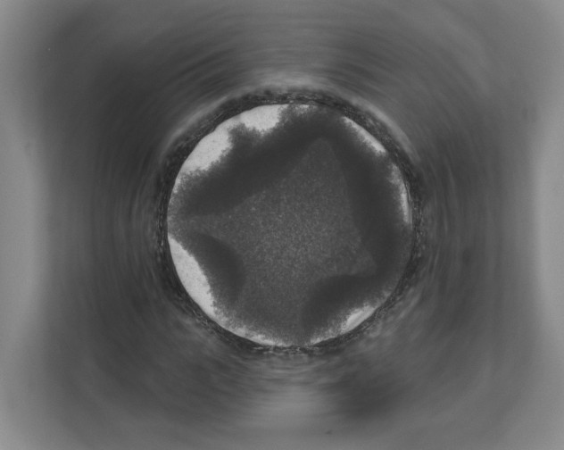 X0000111160919200908111151