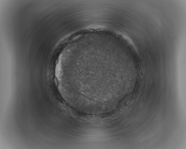 X0000111160920200908111151