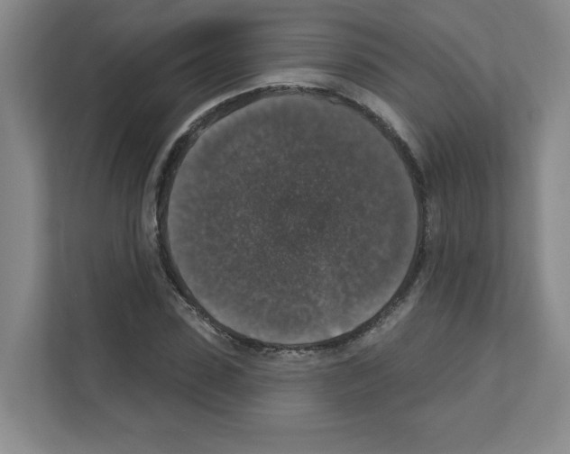 X0000111160923200908111151
