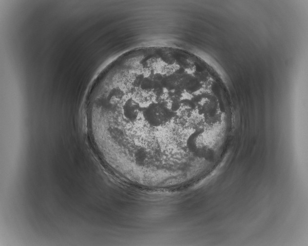 X0000111160925200908111151