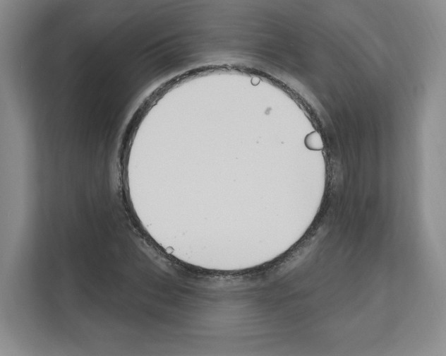 X0000111160927200908111151