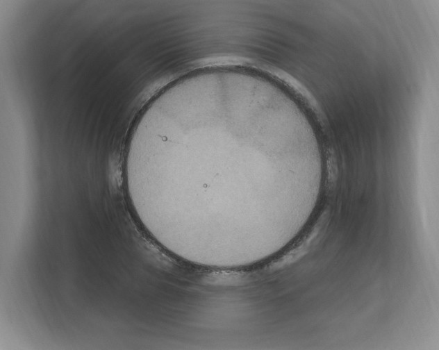 X0000111160929200908111151