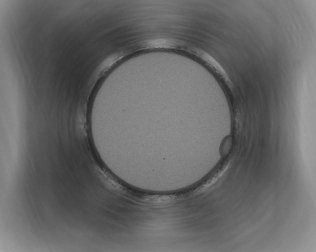 X0000111160930200908111151