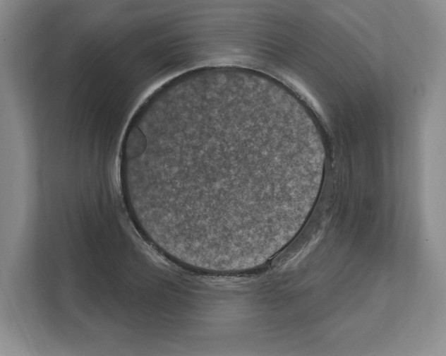 X0000111160932200908111151
