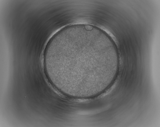 X0000111160933200908111151