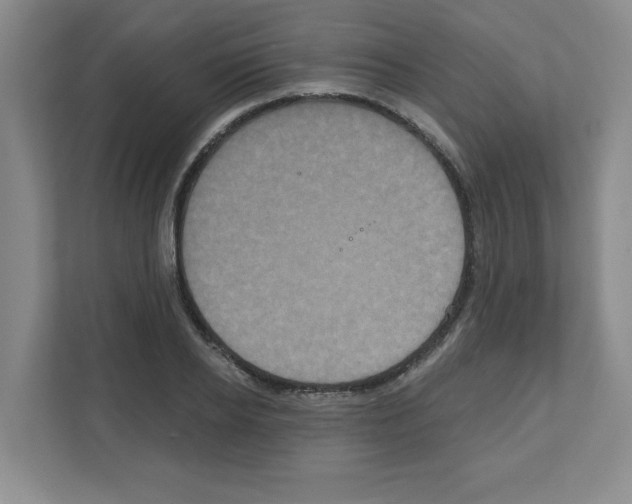 X0000111160934200908111151