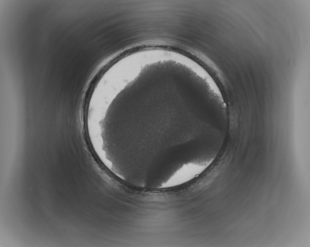 X0000111160935200908111151