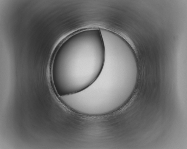 X0000111160936200908111151