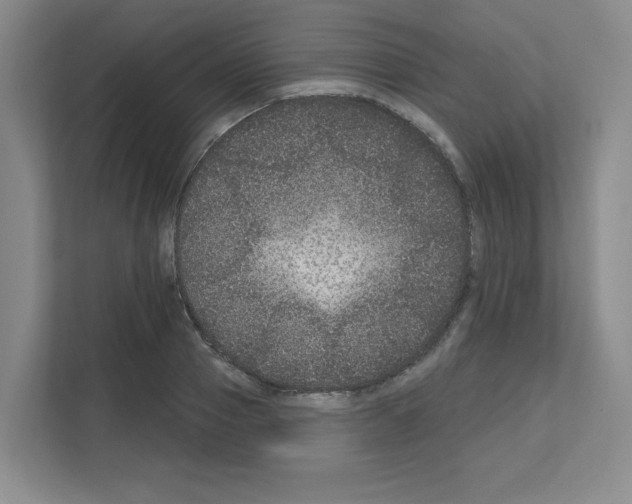 X0000111160937200908111151