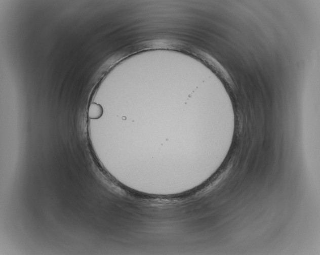 X0000111160938200908111151