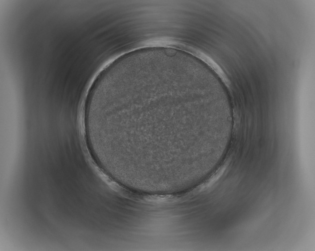 X0000111160939200908111151