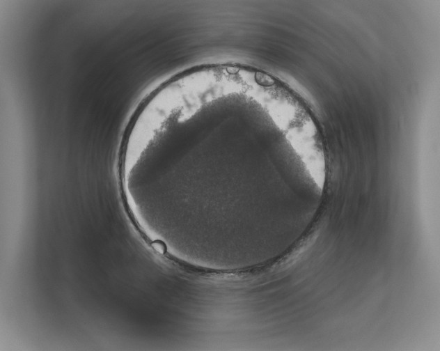 X0000111160943200908111151