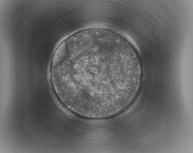 X0000111160944200908111151