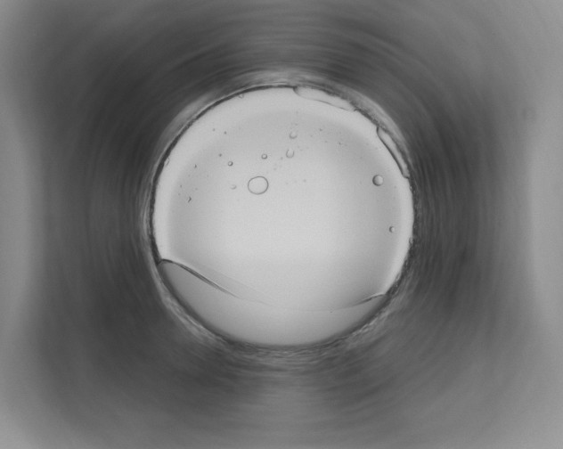 X0000111160946200908111151