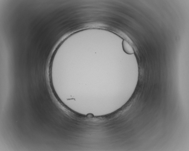 X0000111160947200908111151