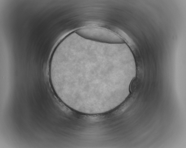 X0000111160948200908111151