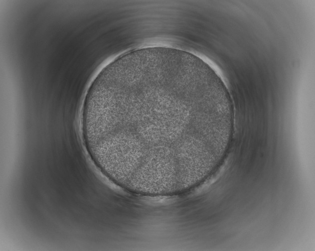 X0000111160949200908111151