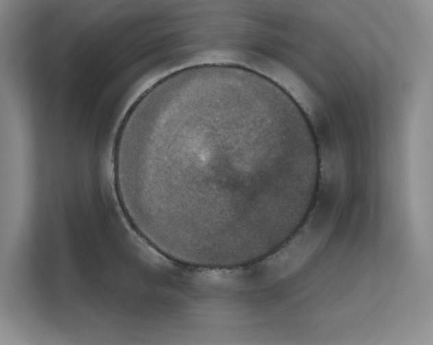X0000111160950200908111151