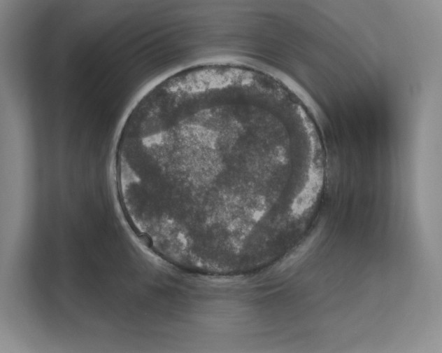 X0000111160951200908111151
