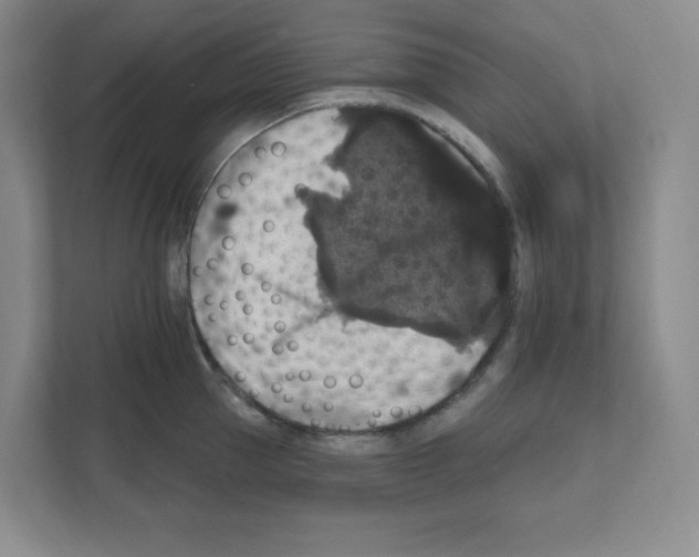 X0000111160953200908111151