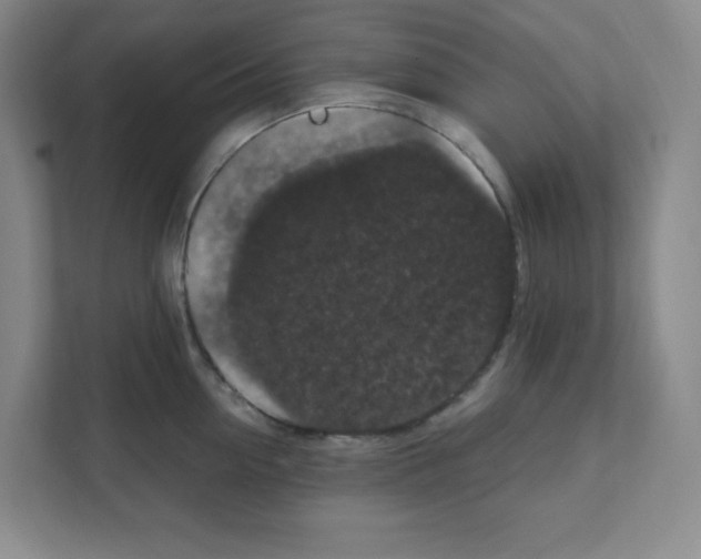 X0000111160954200908111151