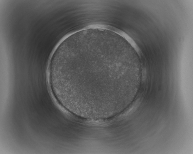 X0000111160955200908111151