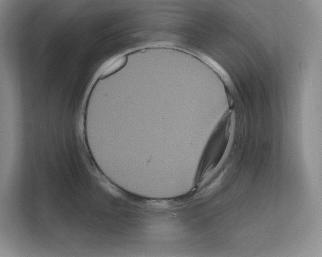 X0000111160956200908111151