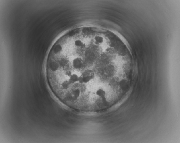 X0000111160957200908111151