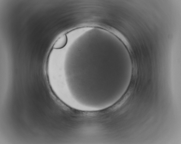 X0000111160958200908111151