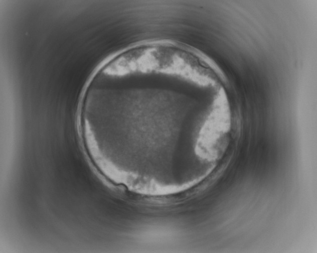 X0000111160959200908111151