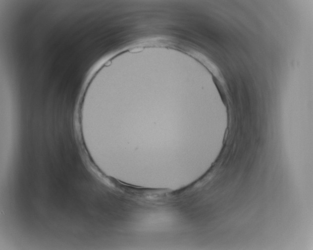 X0000111160960200908111151