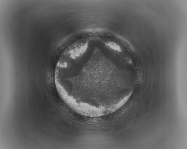 X0000111160966200908111150