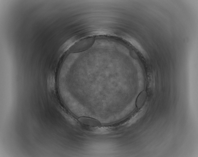 X0000111160969200908111150