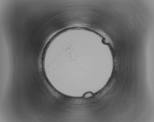X0000111160972200908111150