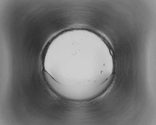 X0000111160973200908111150