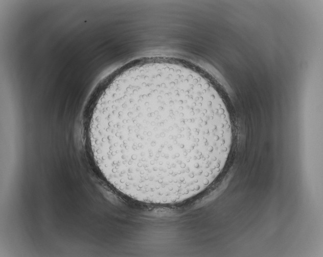 X0000111160974200908111150