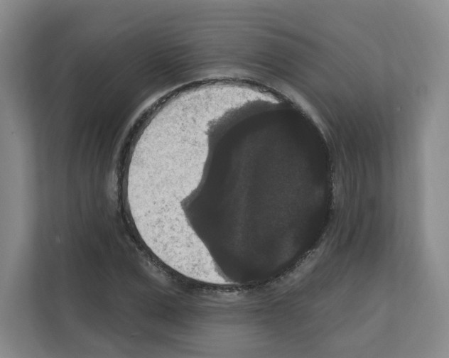 X0000111160975200908111150