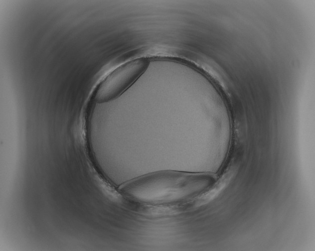 X0000111160981200908111150