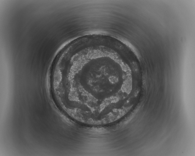 X0000111160983200908111150