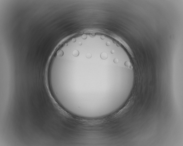 X0000111160984200908111150