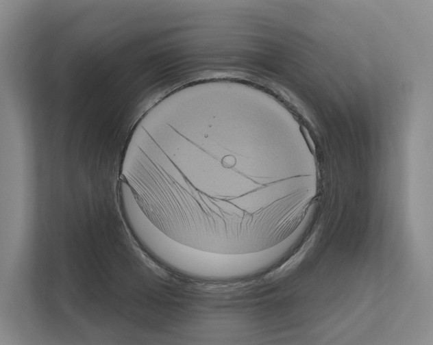 X0000111160985200908111150