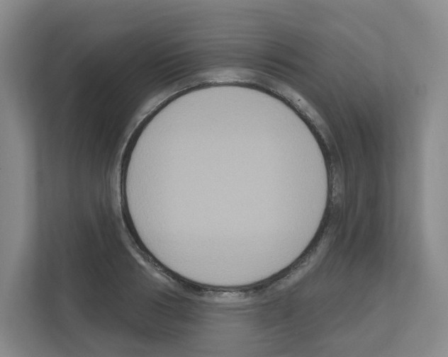 X0000111160986200908111150