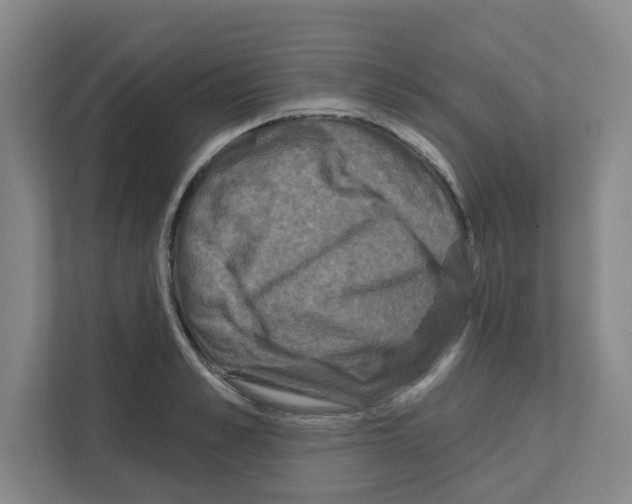 X0000111160989200908111150