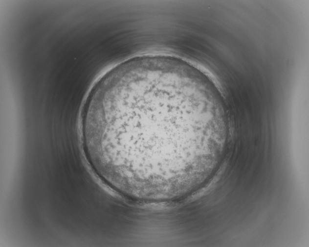 X0000111160990200908111150