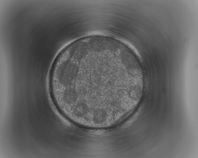 X0000111160991200908111150